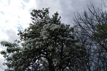 Przed nami ostatni poniedziałek miesiąca