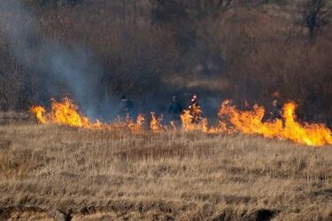 Ziemia jest tylko jedna. Wypalanie trwa to prawdziwa plaga