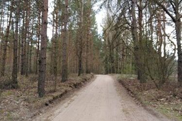 Skok temperatury, a spadek ciśnienia. Opadów wciąż brak