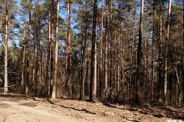 To już ostatni dzień kwietnia