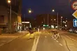 Nietypowi spacerowicze pojawili się w centrum miasta