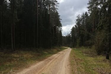 Pojawi się trochę ciemnych chmur. Będą zwiastunem deszczu?