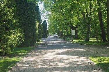 Maj zaczyna płatać pogodowe figle. Środa dość chłodna