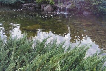Po deszczowej środzie czas na nieco pogodniejszy czwartek