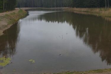 Puszczańska enklawa wodna. To ważna i potrzebna inwestycja