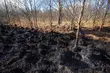 Pożar w Biebrzańskim Parku Narodowym. Podsumowanie zbiórki