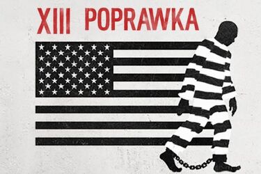 Filmowy cykl przeniósł się do internetu