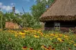 Muzeum Rolnictwa w Ciechanowcu częściowo otwiera się dla turystów