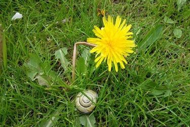 Chłodna środa w stolicy Podlasia