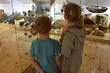 Powstanie cykl 15 filmów o kulturze ludowej