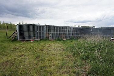 Chcą swobodnie biegać i cieszyć się życiem. Można im pomóc
