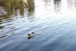 Wciąż czuć maj w powietrzu