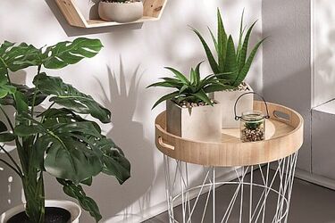 Ogród bez wychodzenia z domu. U wielu to pozytywny efekt przymusowej izolacji