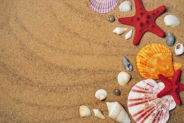 Kolonie jednak się odbędą, ale pod kilkoma warunkami