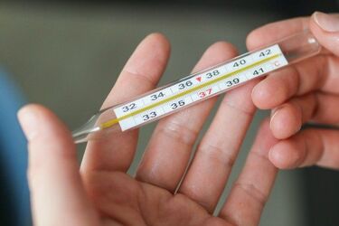 Jak epidemia wpłynęła na zwolnienia lekarskie?