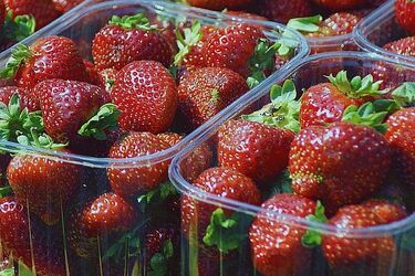 Prace sezonowe dla cudzoziemców. Przekraczanie granicy w dobie pandemii