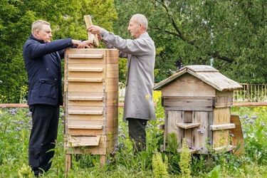 Prezydent Białegostoku uczestniczył w pierwszym miodobraniu w białostockiej pasiece