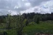 Może zagrzmieć i popadać