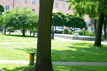 Skwer im. Pawła Adamowicza w centrum Białegostoku