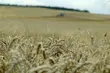 Dlaczego GUS będzie zbierać dane rolników?