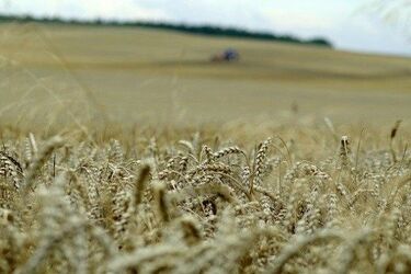 Dlaczego GUS będzie zbierać dane rolników?