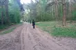 Kobieta błąkała się przy szkole 