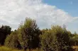 Słońce przeplatane chmurami