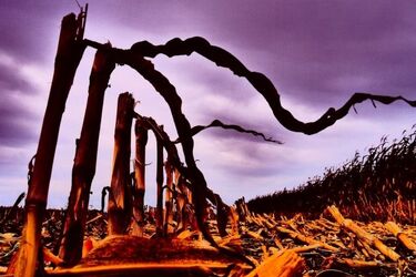 Nowa wystawa fotografii z Białegostoku i Łomży