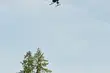 W ochronie lasów. Z pomocą przychodzą nowoczesne metody