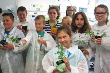 Dzieci będą tworzyć własne ogrody i akwaria. Liczba miejsc ograniczona