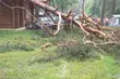 Nawałnice w regionie. Drzewa powaliły się na domki letniskowe [ZDJĘCIA, WIDEO]