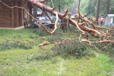 Nawałnice w regionie. Drzewa powaliły się na domki letniskowe [ZDJĘCIA, WIDEO]