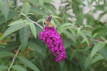 Opady deszczu przeplatane słońcem. To już koniec czerwca