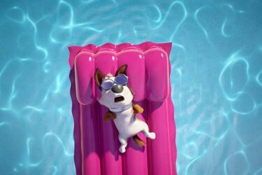 Akcja Lato. Wakacje w mieście nie muszą być nudne [WIDEO]