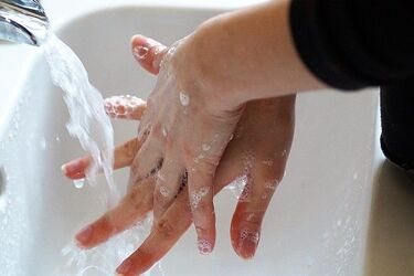 5 nowych zakażeń koronawirusem w Podlaskiem