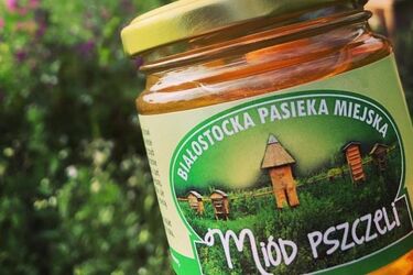 Jest już pierwszy miód z miejskiej pasieki