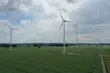 Białostocka firma zbudowała największe w Polsce farmy wiatrowe