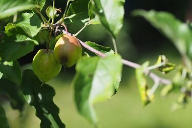 Ile stopni pokażą dziś termometry w Białymstoku?