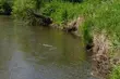 W rzece znaleziono zwłoki. Trwa identyfikacja