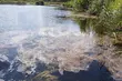 Więcej przejaśnień w ciągu dnia