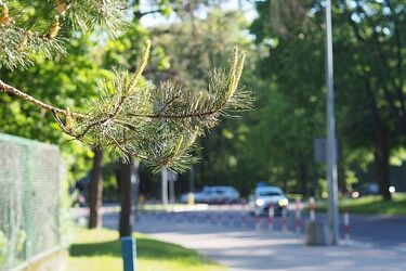 Trochę chmur, trochę słońca? Pogoda może spłatać figla