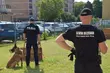 Psy policyjne i więzienne przeszły szkolenie