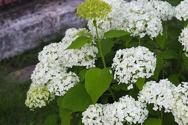 Pochmurne, ale z szansą na przejaśnienia