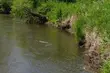 W rzece znaleziono zwłoki. Trwa identyfikacja