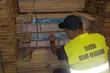 Kontrabanda w transporcie desek