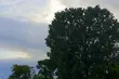 Lato w połowie. Kolejny pochmurny dzień w Białymstoku