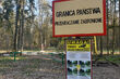 Przekraczanie granicy państwa zabronione. Grożą wysokie mandaty