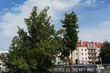 Początek tygodnia zwiastuje dużo słońca
