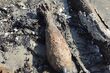 Pocisk z okresu II wojny światowej znaleziono w pobliżu rzeki Narew