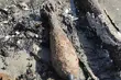 Pocisk z okresu II wojny światowej znaleziono w pobliżu rzeki Narew